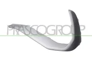 Zier-/Schutzleiste, Stoßfänger hinten rechts PRASCO AD8191253