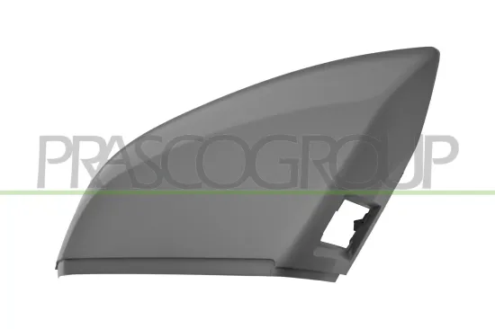 Abdeckung, Außenspiegel links PRASCO AD8247424 Bild Abdeckung, Außenspiegel links PRASCO AD8247424