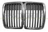 Kühlergitter mitte PRASCO BM0102001