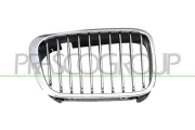 Kühlergitter rechts PRASCO BM0182003