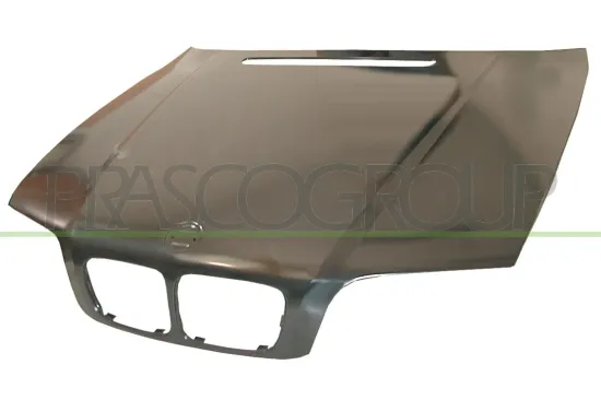 Motorhaube PRASCO BM0203100 Bild Motorhaube PRASCO BM0203100