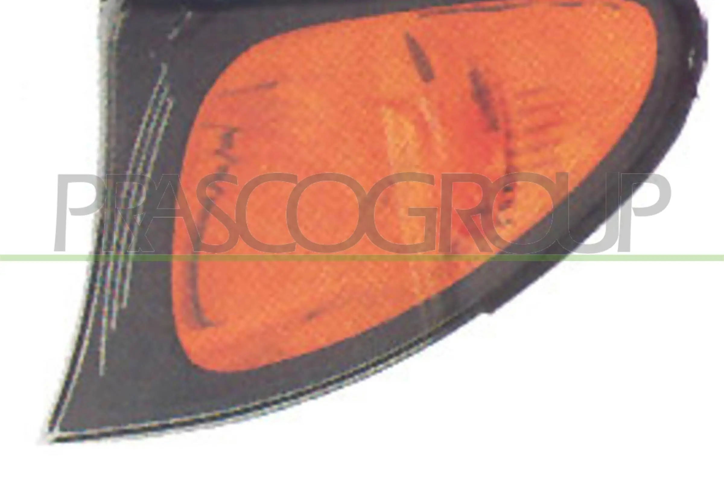 Blinkleuchte vorne links PRASCO BM0204004