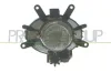 Nebelscheinwerfer links rechts PRASCO BM0204413