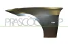 Kotflügel vorne links PRASCO BM0243034