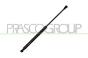 Gasfeder, Motorhaube vorne links vorne rechts PRASCO BM0249005
