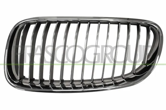 Kühlergitter links PRASCO BM0252034 Bild Kühlergitter links PRASCO BM0252034