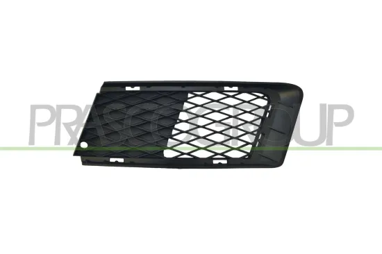 Lüftungsgitter, Stoßfänger vorne links PRASCO BM0252124 Bild Lüftungsgitter, Stoßfänger vorne links PRASCO BM0252124