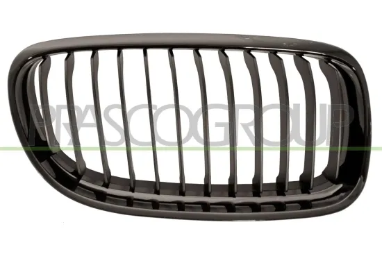 Kühlergitter rechts PRASCO BM0262023 Bild Kühlergitter rechts PRASCO BM0262023