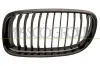 Kühlergitter links PRASCO BM0262024
