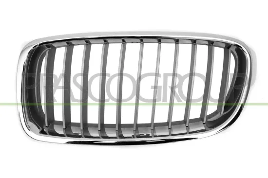 Kühlergitter links PRASCO BM0282034 Bild Kühlergitter links PRASCO BM0282034