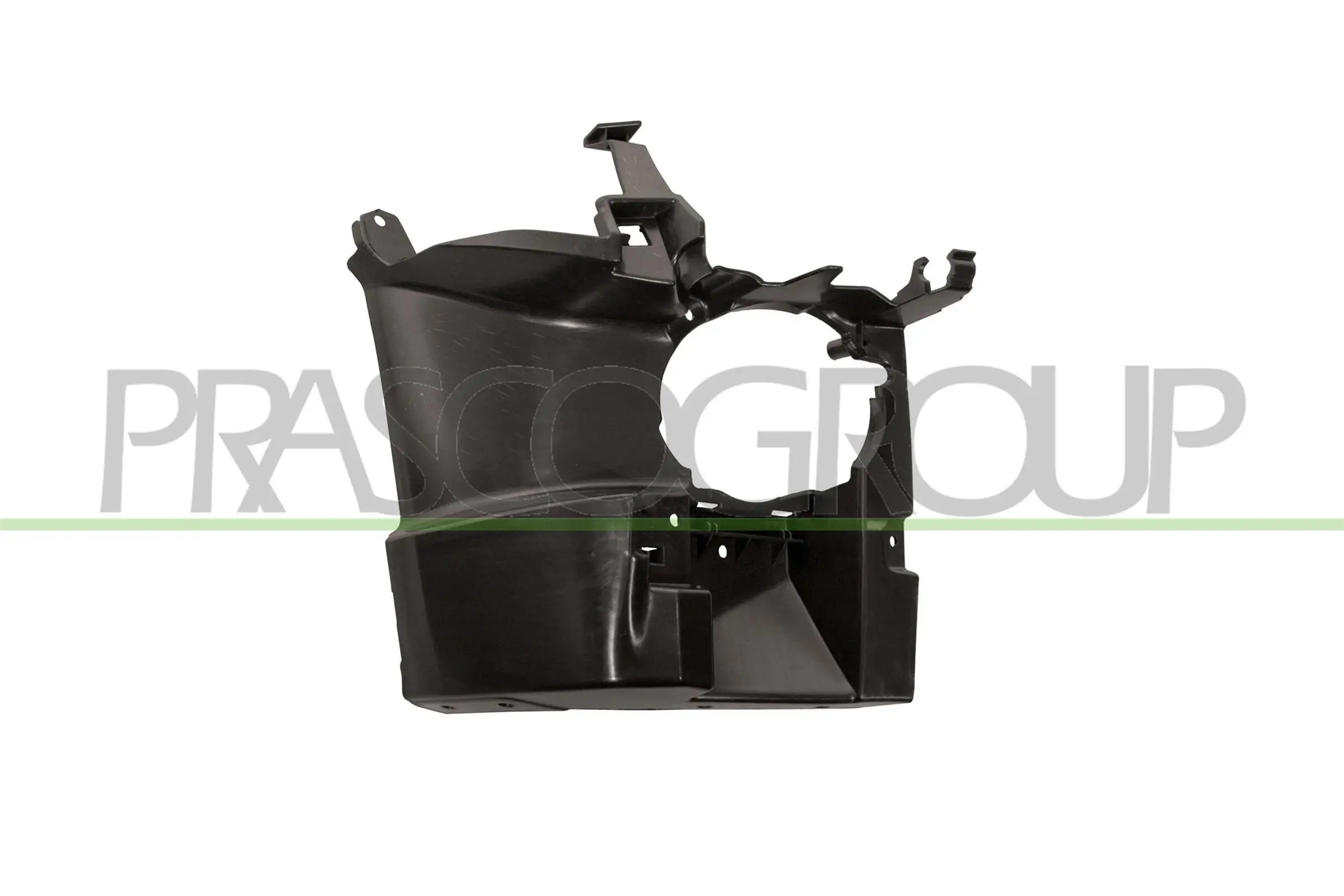 Halter, Nebelscheinwerfer PRASCO BM0291303