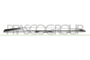 Zier-/Schutzleiste, Kühlergitter links PRASCO BM0311224