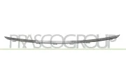 Zier-/Schutzleiste, Stoßfänger vorne PRASCO BM0311245