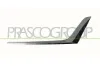 Zier-/Schutzleiste, K&uuml;hlergitter vorne links PRASCO BM0342204