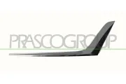 Zier-/Schutzleiste, Kühlergitter vorne links PRASCO BM0342204