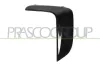 Zier-/Schutzleiste, Sto&szlig;f&auml;nger vorne rechts PRASCO BM0351233