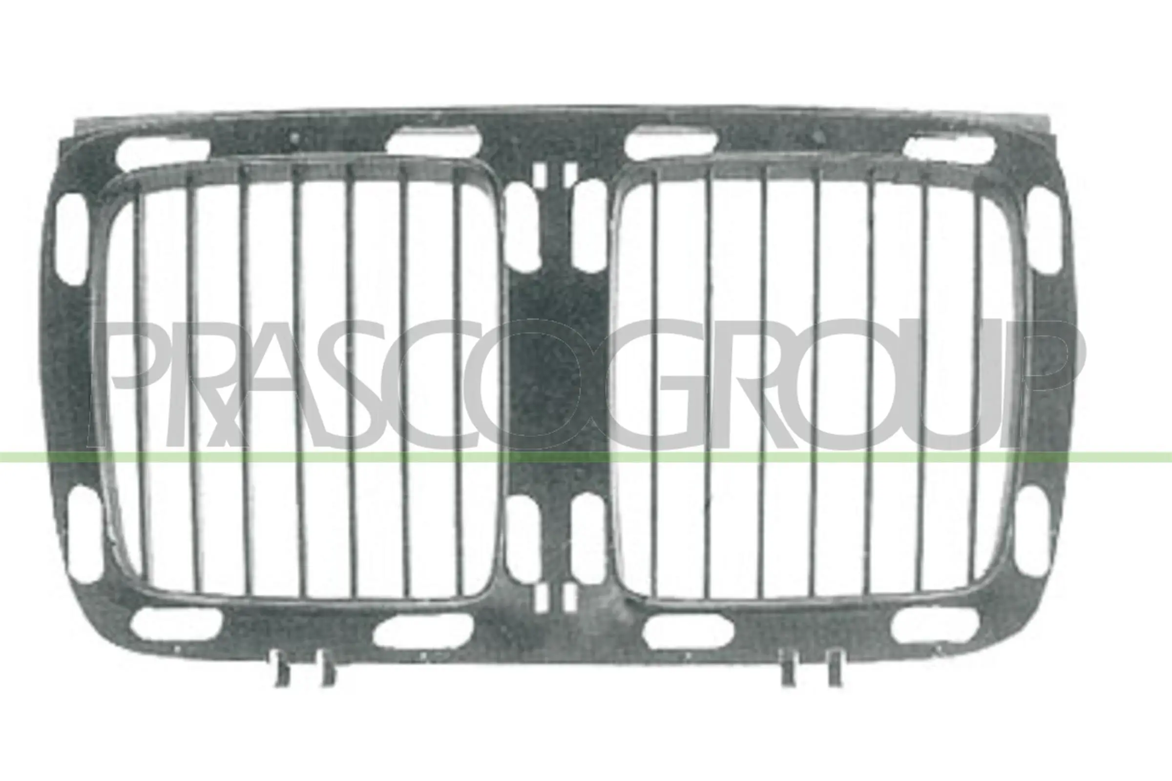 Kühlergitter PRASCO BM0422001
