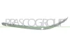 Zier-/Schutzleiste, Sto&szlig;f&auml;nger vorne links PRASCO BM0451240