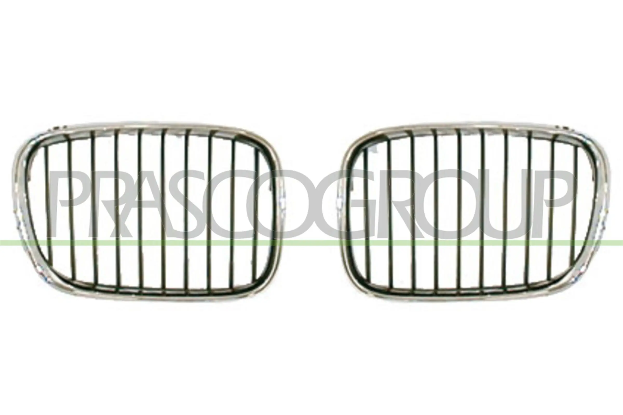 Kühlergitter links PRASCO BM0452004