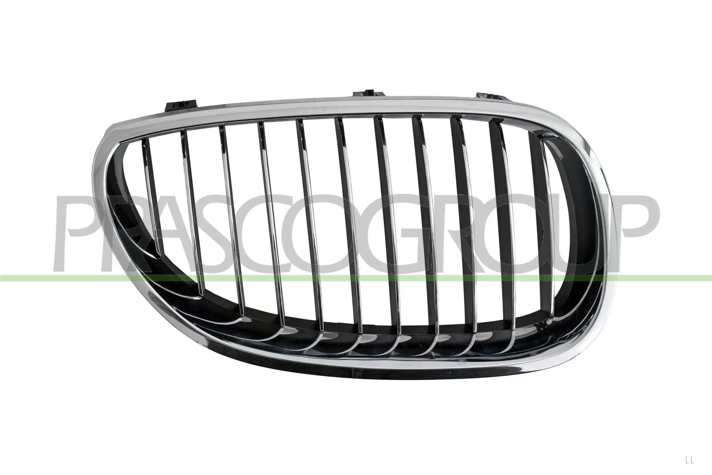 Kühlergitter rechts PRASCO BM0462013