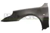 Kotflügel vorne links PRASCO BM0463044