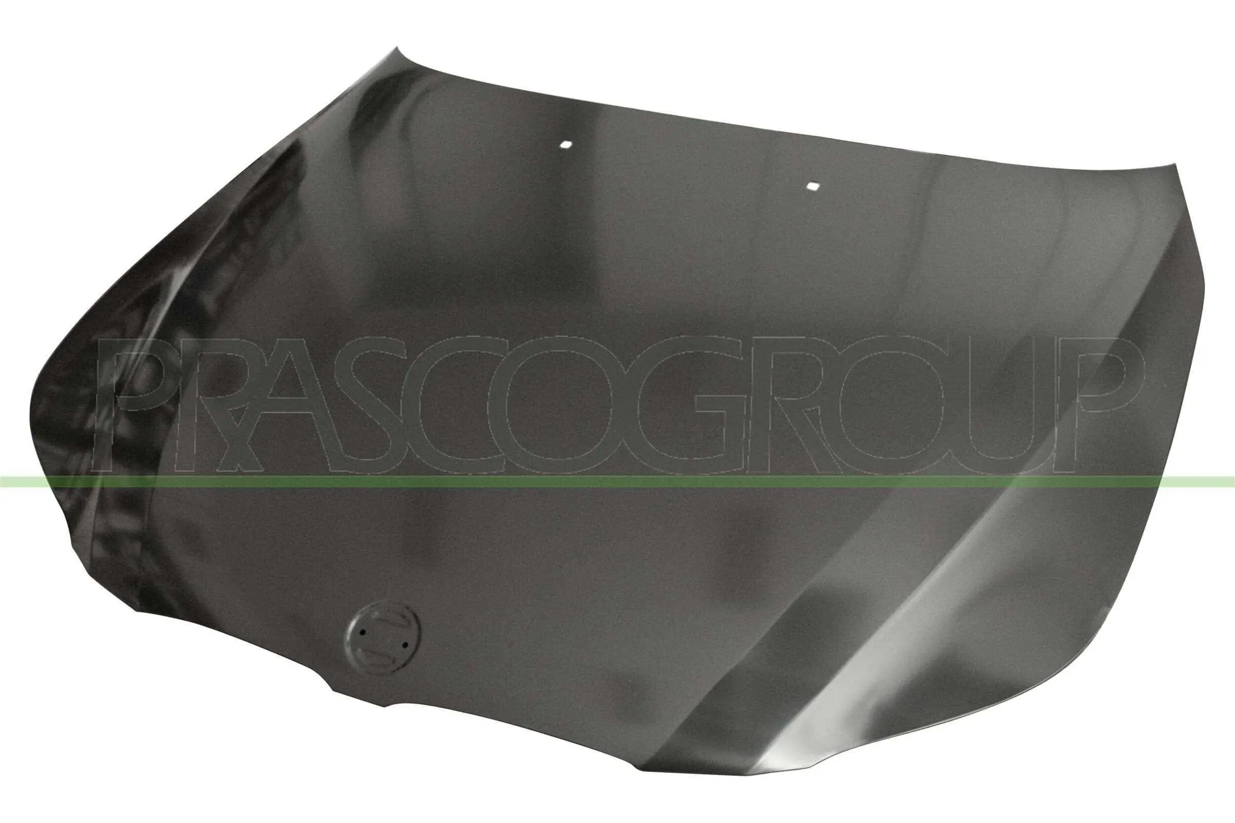 Motorhaube PRASCO BM0463130