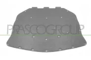 Motorraumdämmung Motorhaube PRASCO BM0481945
