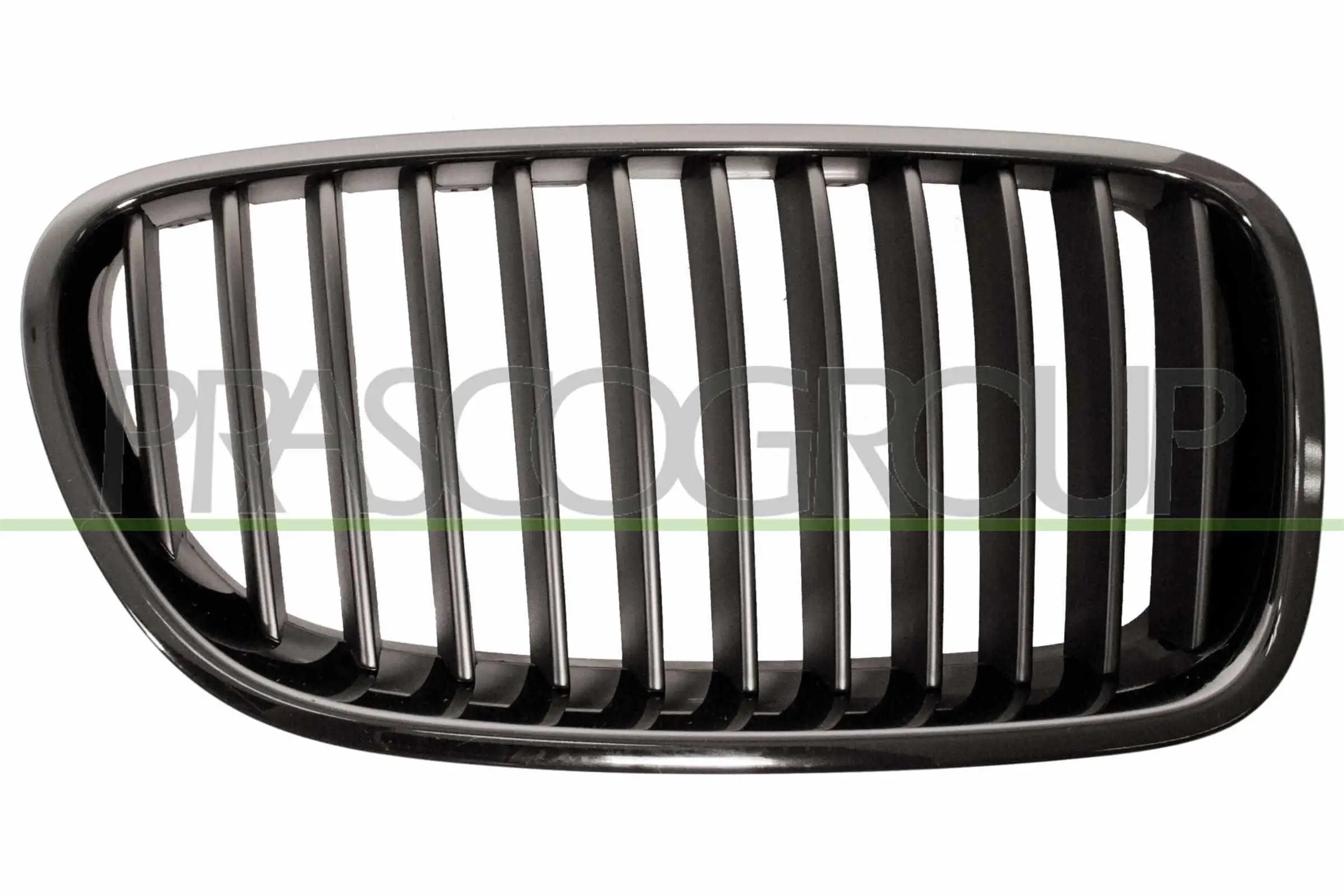 Kühlergitter rechts PRASCO BM0482003
