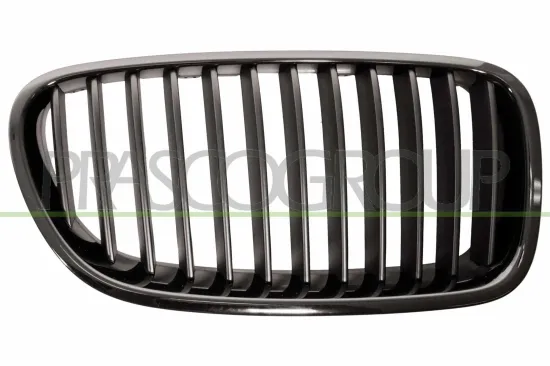 Kühlergitter rechts PRASCO BM0482003 Bild Kühlergitter rechts PRASCO BM0482003