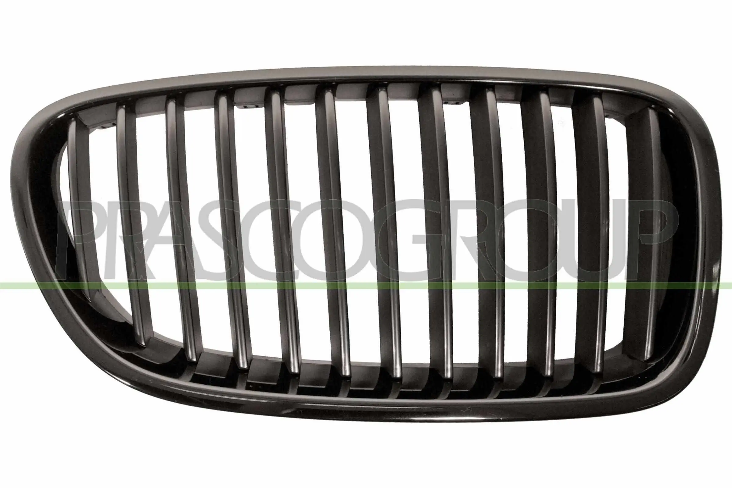 Kühlergitter rechts PRASCO BM0492003