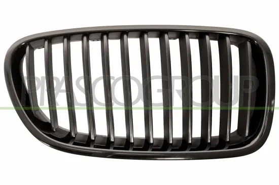 Kühlergitter rechts PRASCO BM0492003 Bild Kühlergitter rechts PRASCO BM0492003