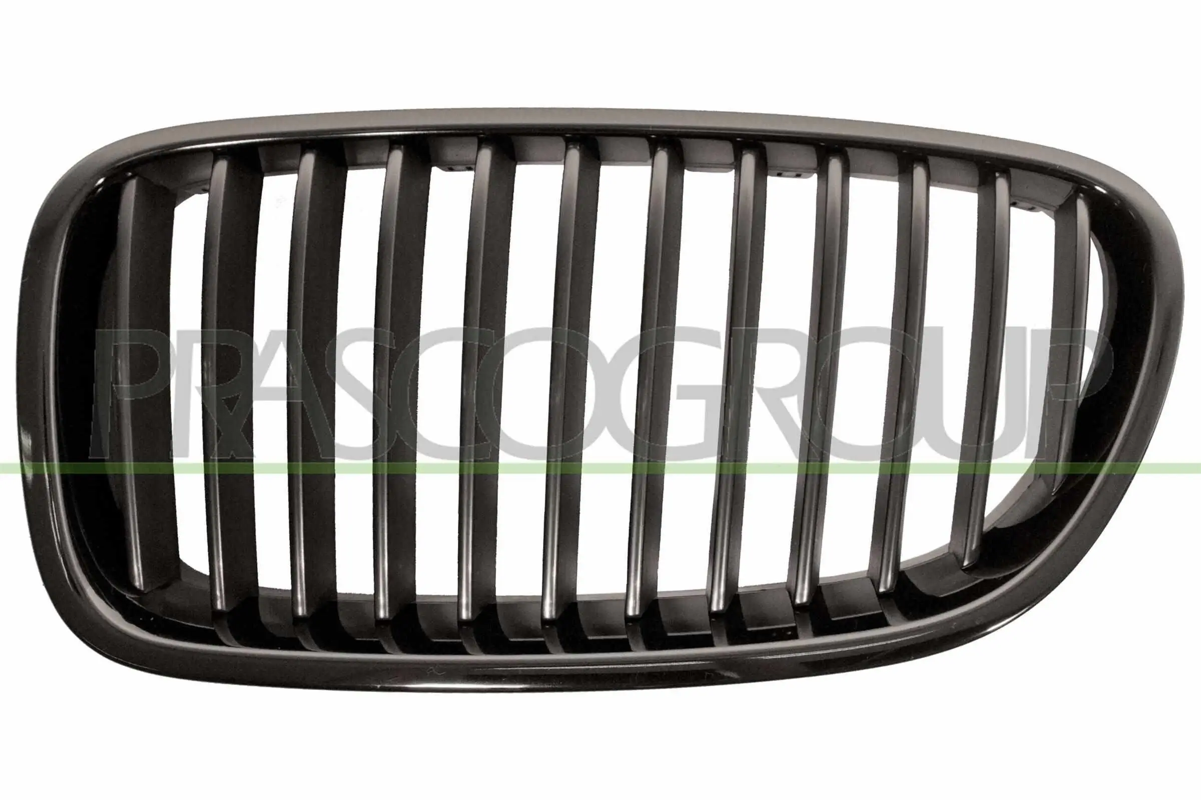 Kühlergitter links PRASCO BM0492004