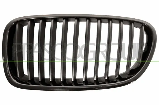 Kühlergitter links PRASCO BM0492004 Bild Kühlergitter links PRASCO BM0492004