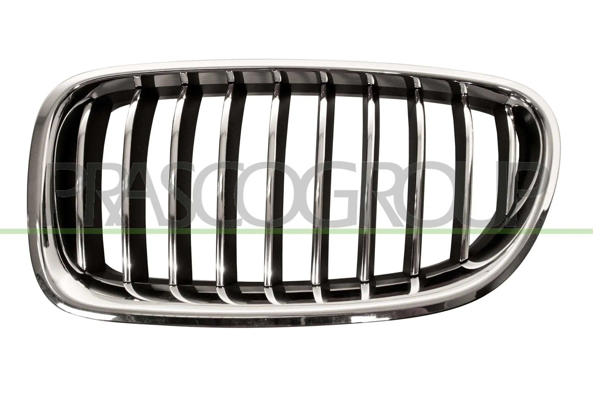 Kühlergitter links PRASCO BM0502004