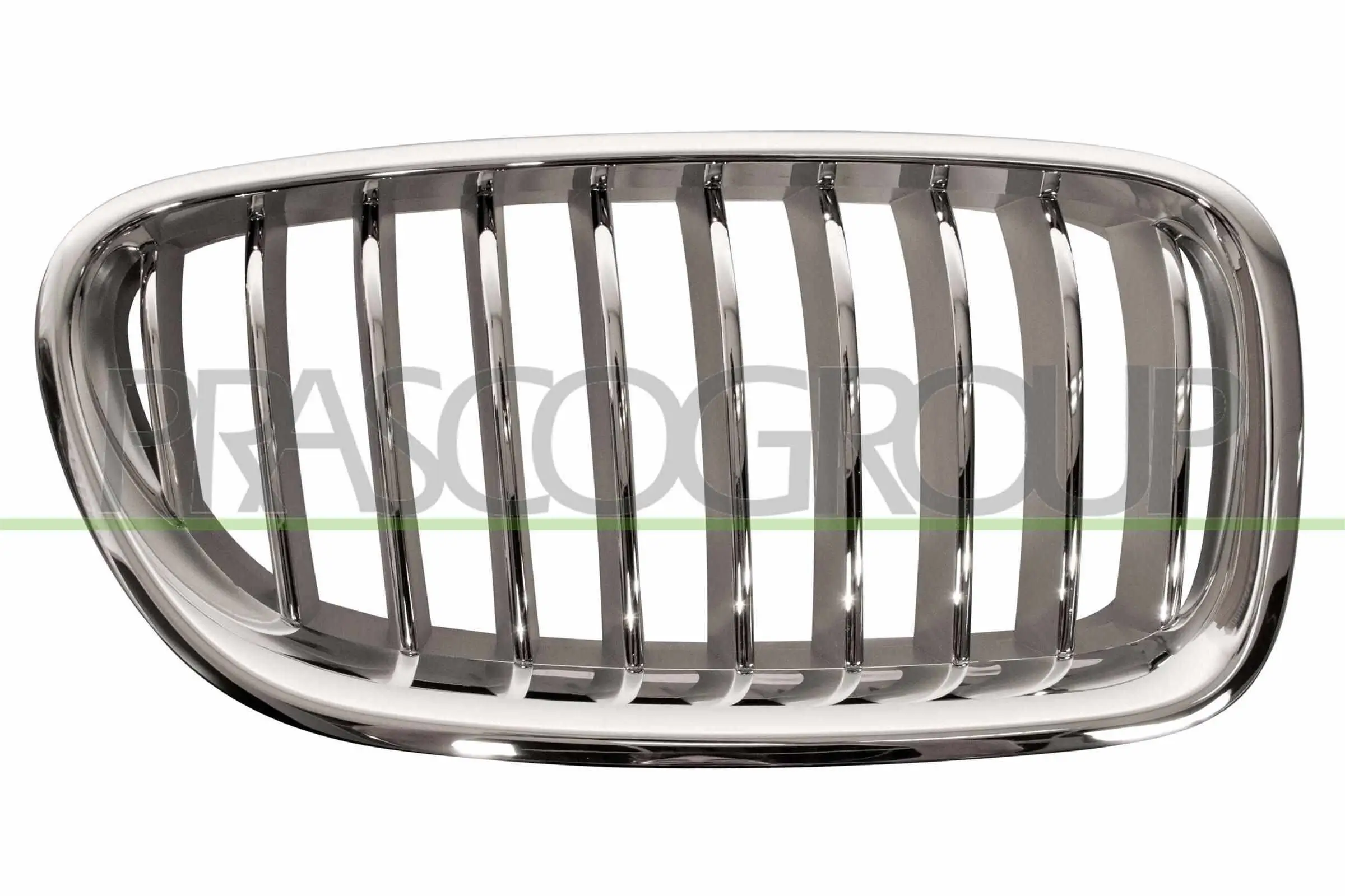 Kühlergitter rechts PRASCO BM0502013