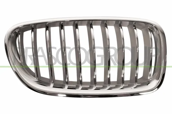 Kühlergitter rechts PRASCO BM0502013 Bild Kühlergitter rechts PRASCO BM0502013