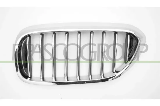 Kühlergitter links PRASCO BM0522004 Bild Kühlergitter links PRASCO BM0522004