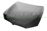 Motorhaube PRASCO BM0523100