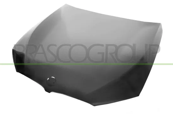 Motorhaube PRASCO BM0523100 Bild Motorhaube PRASCO BM0523100