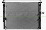 Kühler, Motorkühlung PRASCO BM052R002