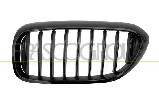 Kühlergitter links PRASCO BM0532004 Bild Kühlergitter links PRASCO BM0532004