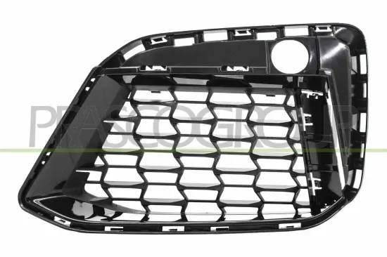 Lüftungsgitter, Stoßfänger links PRASCO BM0552134 Bild Lüftungsgitter, Stoßfänger links PRASCO BM0552134