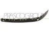 Zier-/Schutzleiste, Sto&szlig;f&auml;nger vorne links PRASCO BM0991234