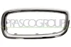 Rahmen, Kühlergitter links PRASCO BM0992334