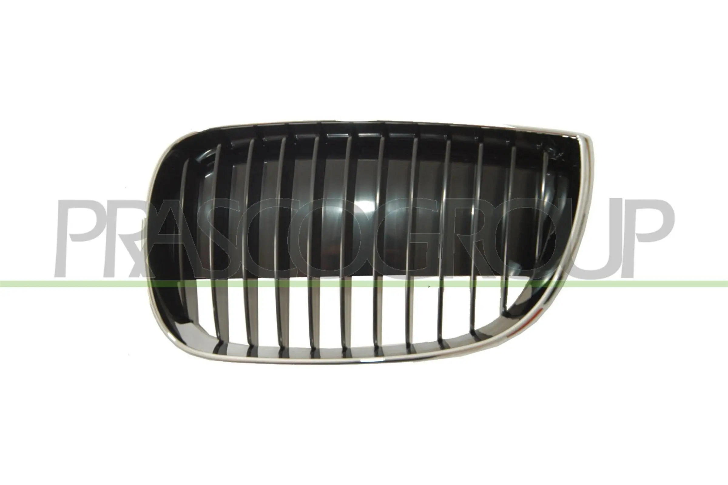 Kühlergitter rechts PRASCO BM1202013