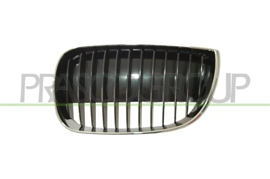 Kühlergitter rechts PRASCO BM1202013 Bild Kühlergitter rechts PRASCO BM1202013