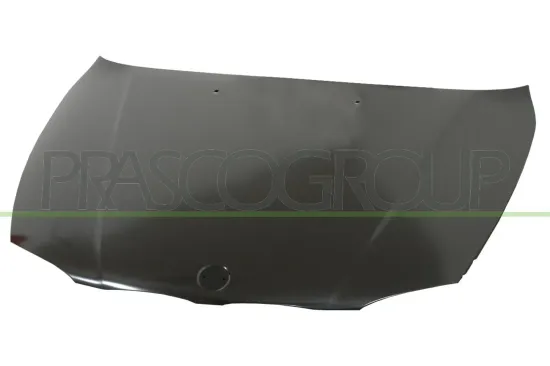 Motorhaube PRASCO BM1203100 Bild Motorhaube PRASCO BM1203100