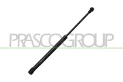 Gasfeder, Motorhaube vorne links vorne rechts PRASCO BM1209005