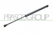 Gasfeder, Koffer-/Laderaum hinten links hinten rechts PRASCO BM1209055