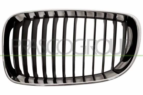 Kühlergitter links PRASCO BM1212004 Bild Kühlergitter links PRASCO BM1212004